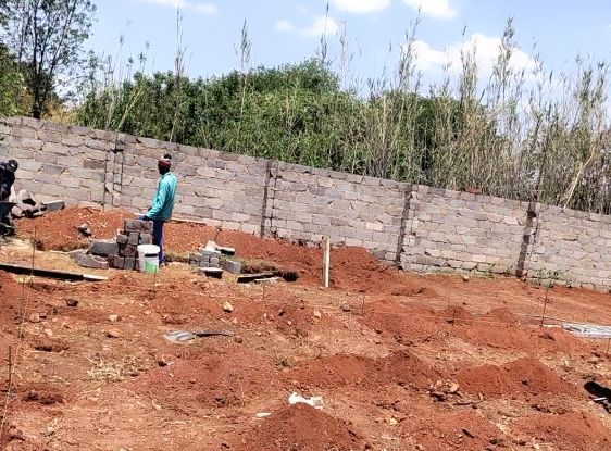 Before: Empty Plot